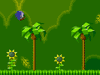 Sonic Xtreme