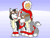 Husky racers