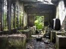 Abscence