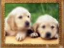 Animal Puzzle